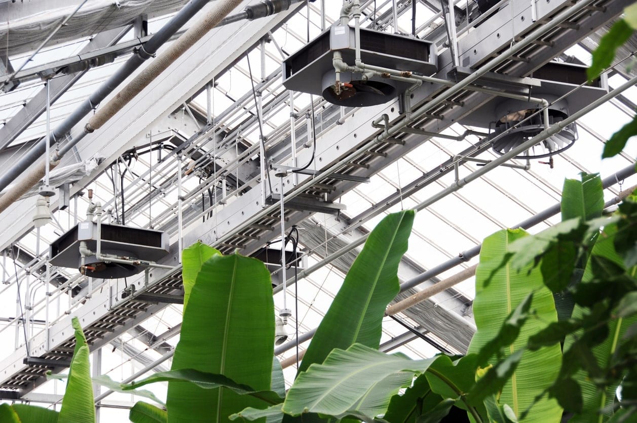 indoor air quality services