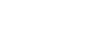 synergy solution group logo