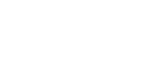 xcel energy partner logo